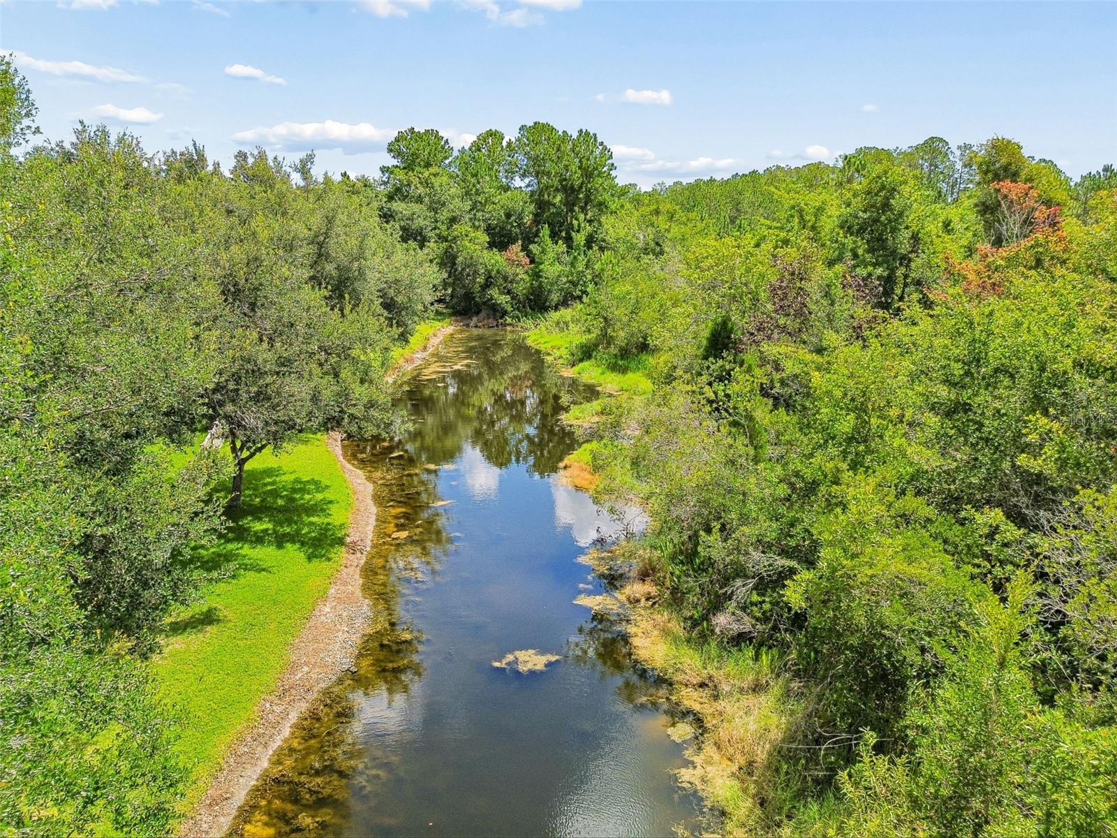 7308 Ambleside Drive Land O Lakes FL 34637 TB8522158 image49