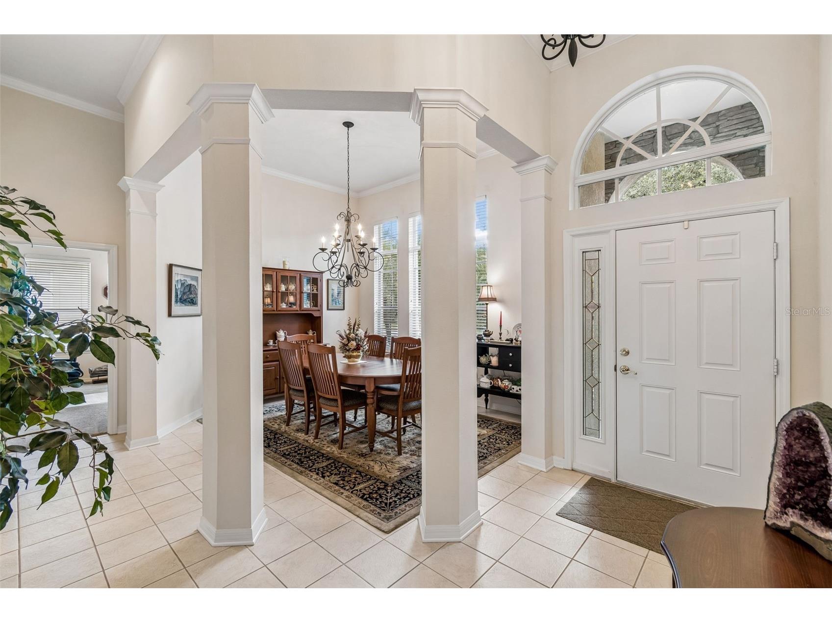 7308 Ambleside Drive Land O Lakes FL 34637 TB8522158 image5