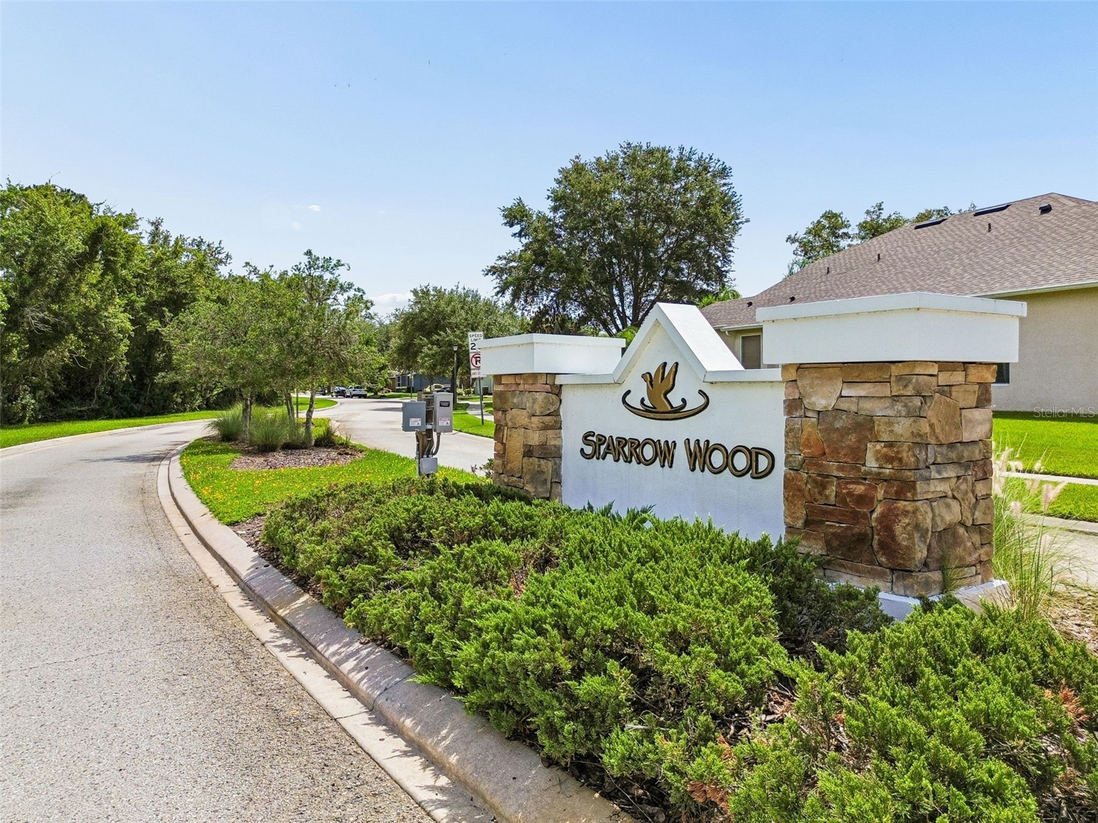 7308 Ambleside Drive Land O Lakes FL 34637 TB8522158 image51