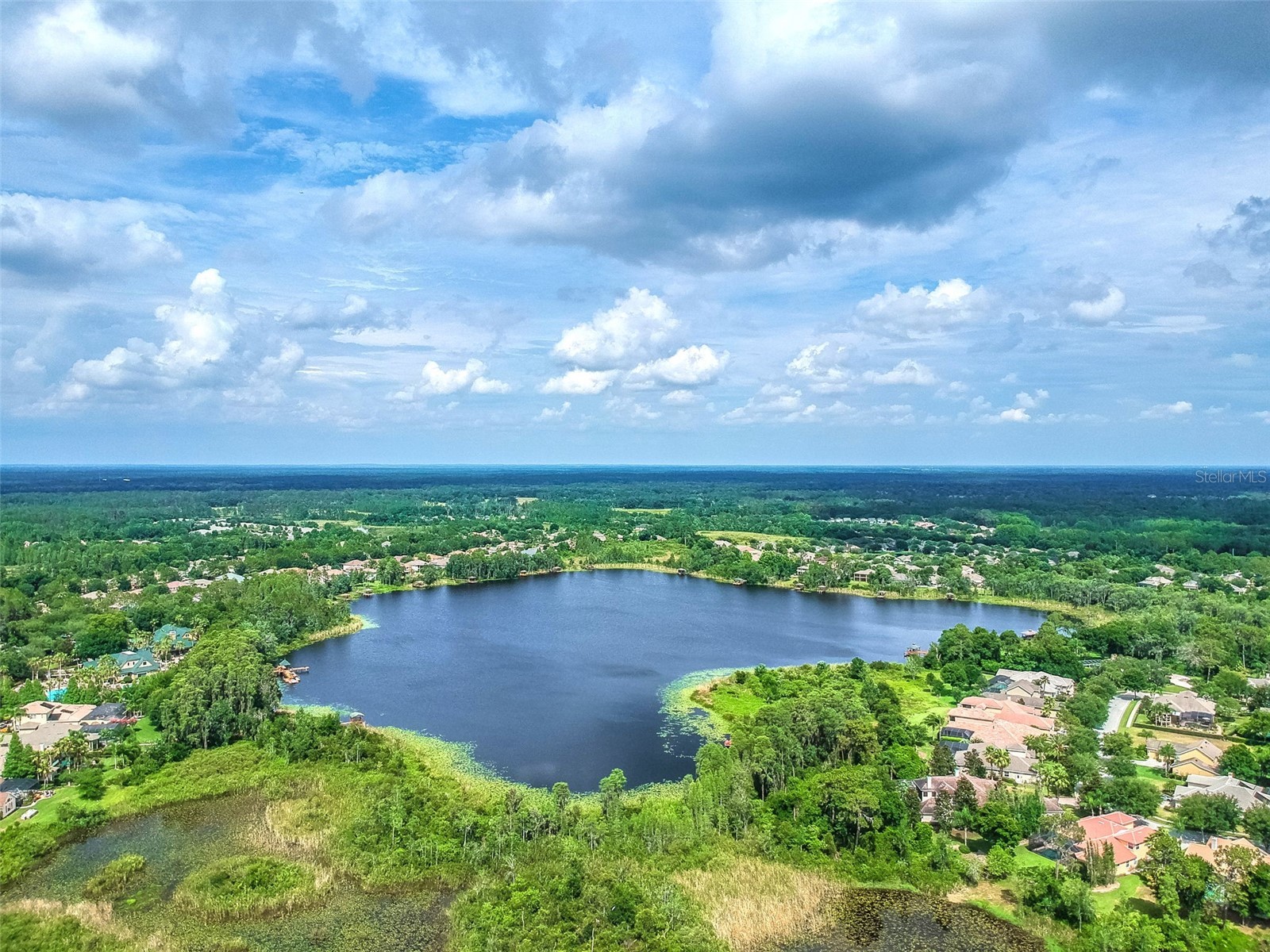 7308 Ambleside Drive Land O Lakes FL 34637 TB8522158 image68
