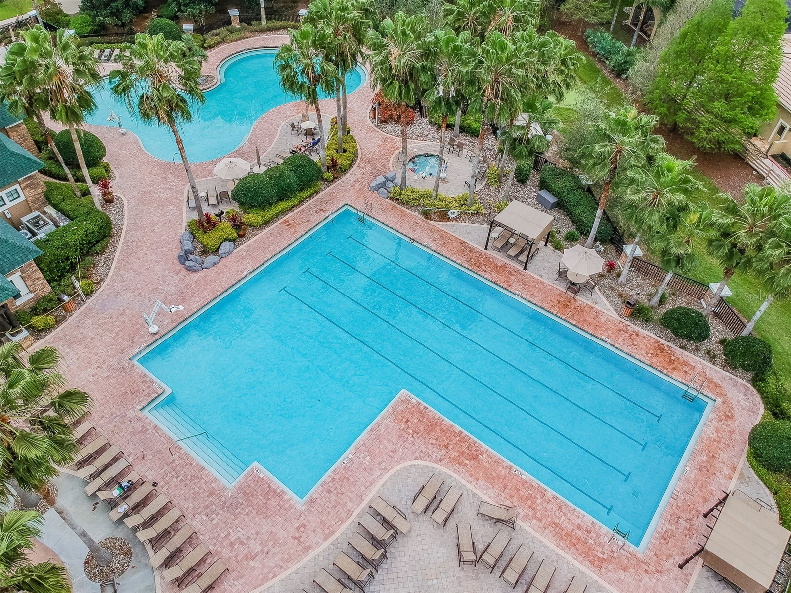 7308 Ambleside Drive Land O Lakes FL 34637 TB8522158 image71