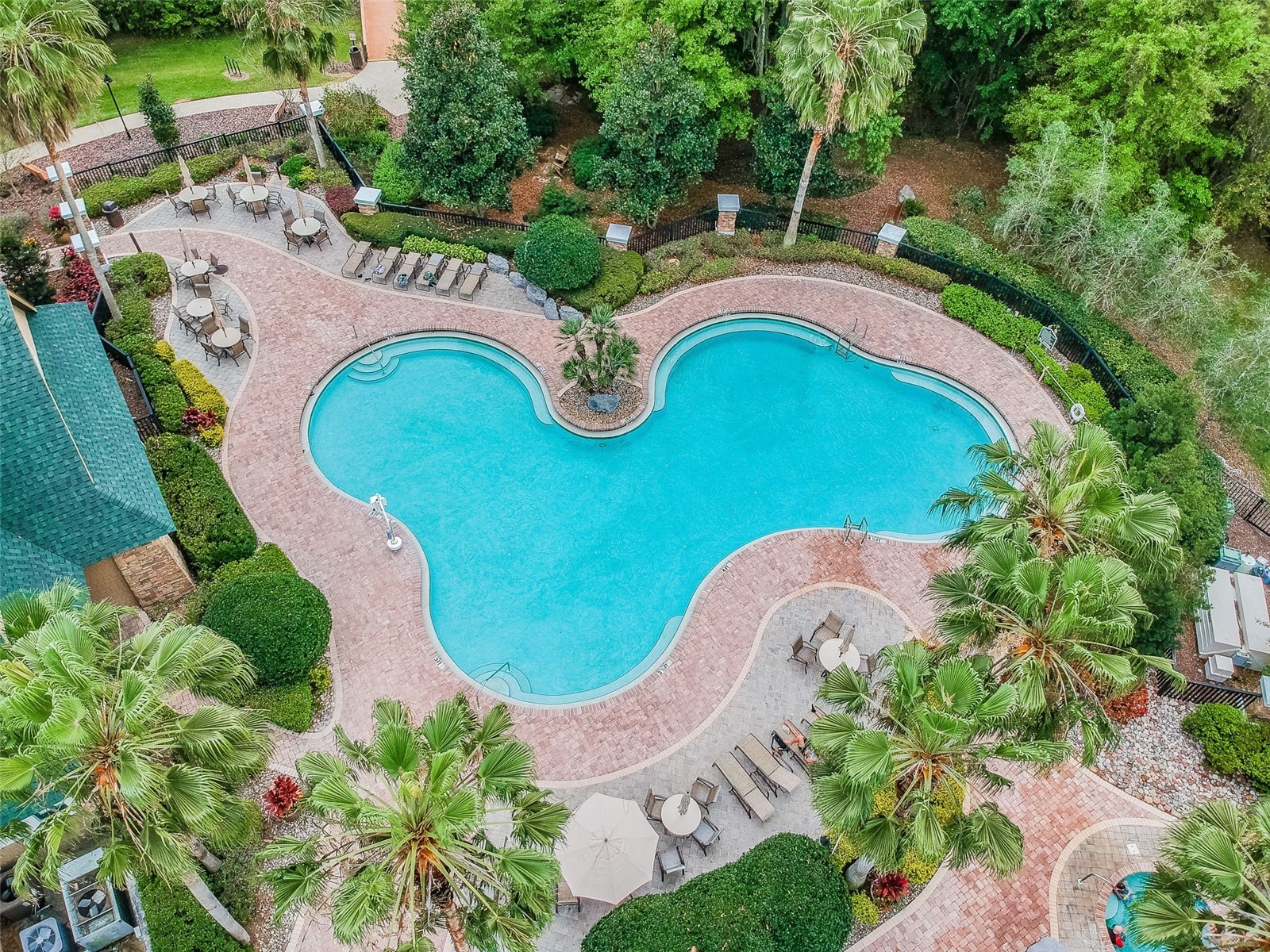 7308 Ambleside Drive Land O Lakes FL 34637 TB8522158 image72
