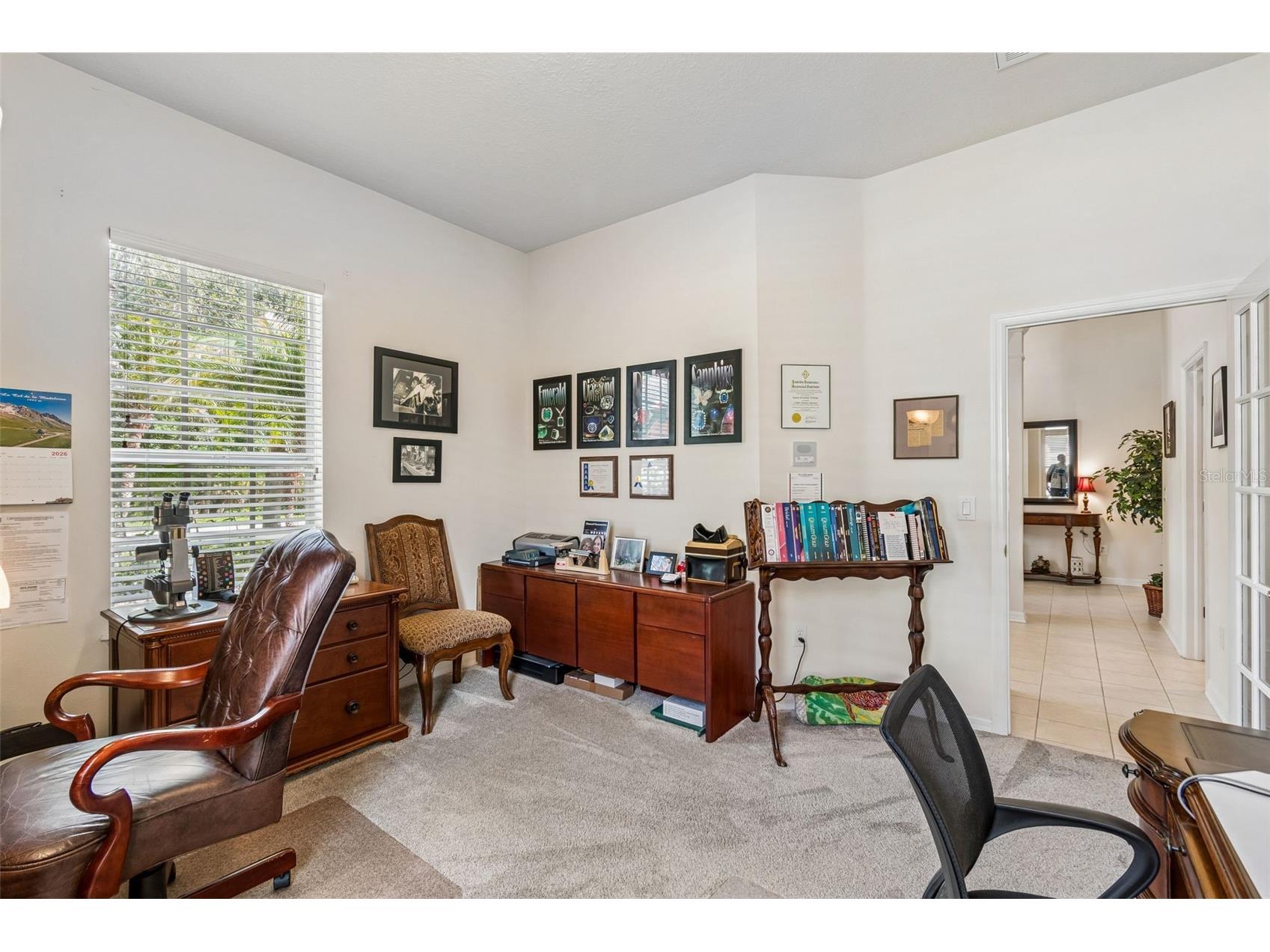 7308 Ambleside Drive Land O Lakes FL 34637 TB8522158 image8