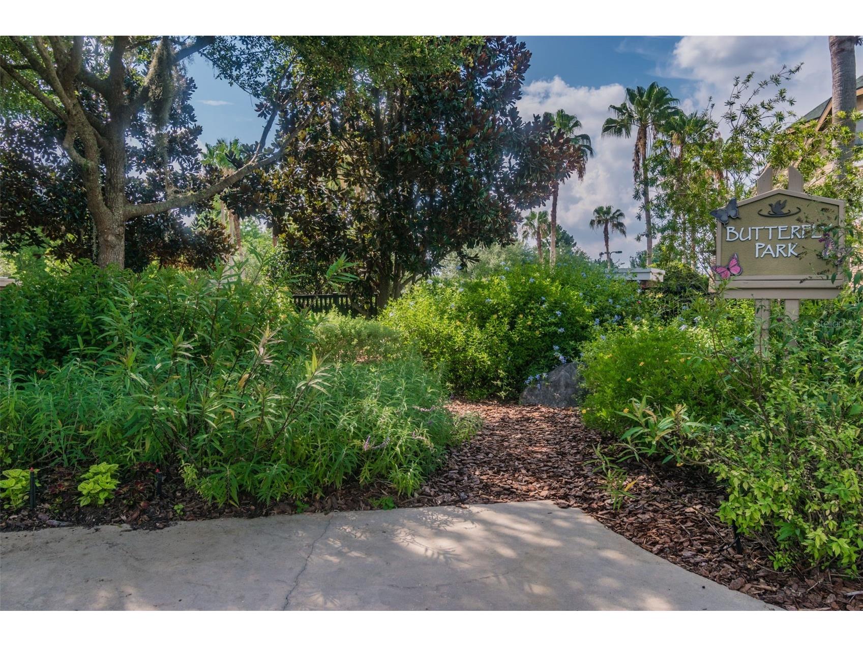 7308 Ambleside Drive Land O Lakes FL 34637 TB8522158 image92