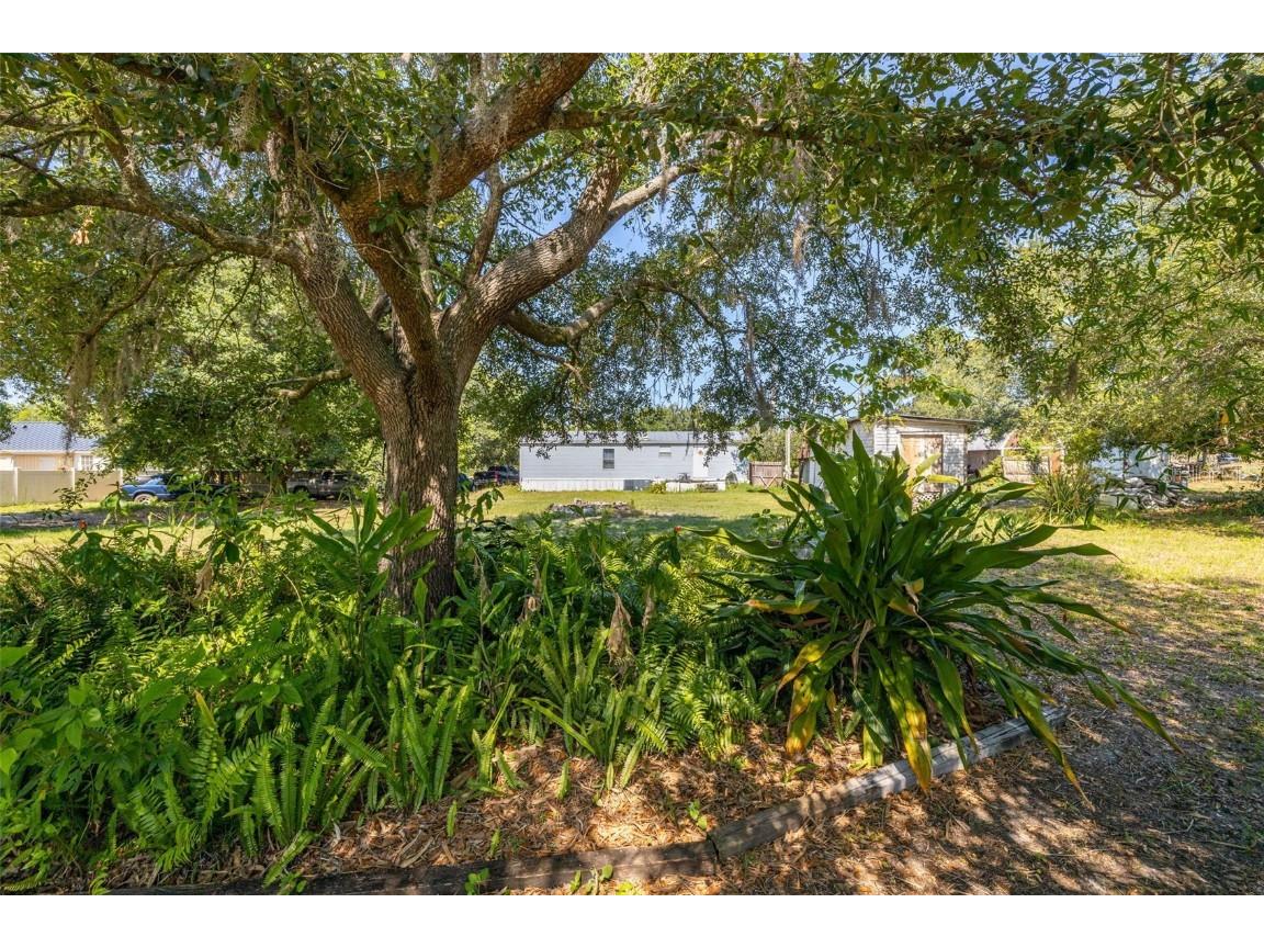 7308 Boyette Road Wesley Chapel FL 33545 TB8423265 image17