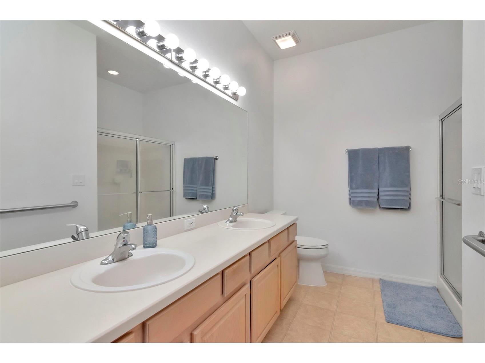 7308 Cleopatra Drive Land O Lakes FL 34637 TB8497329 image26