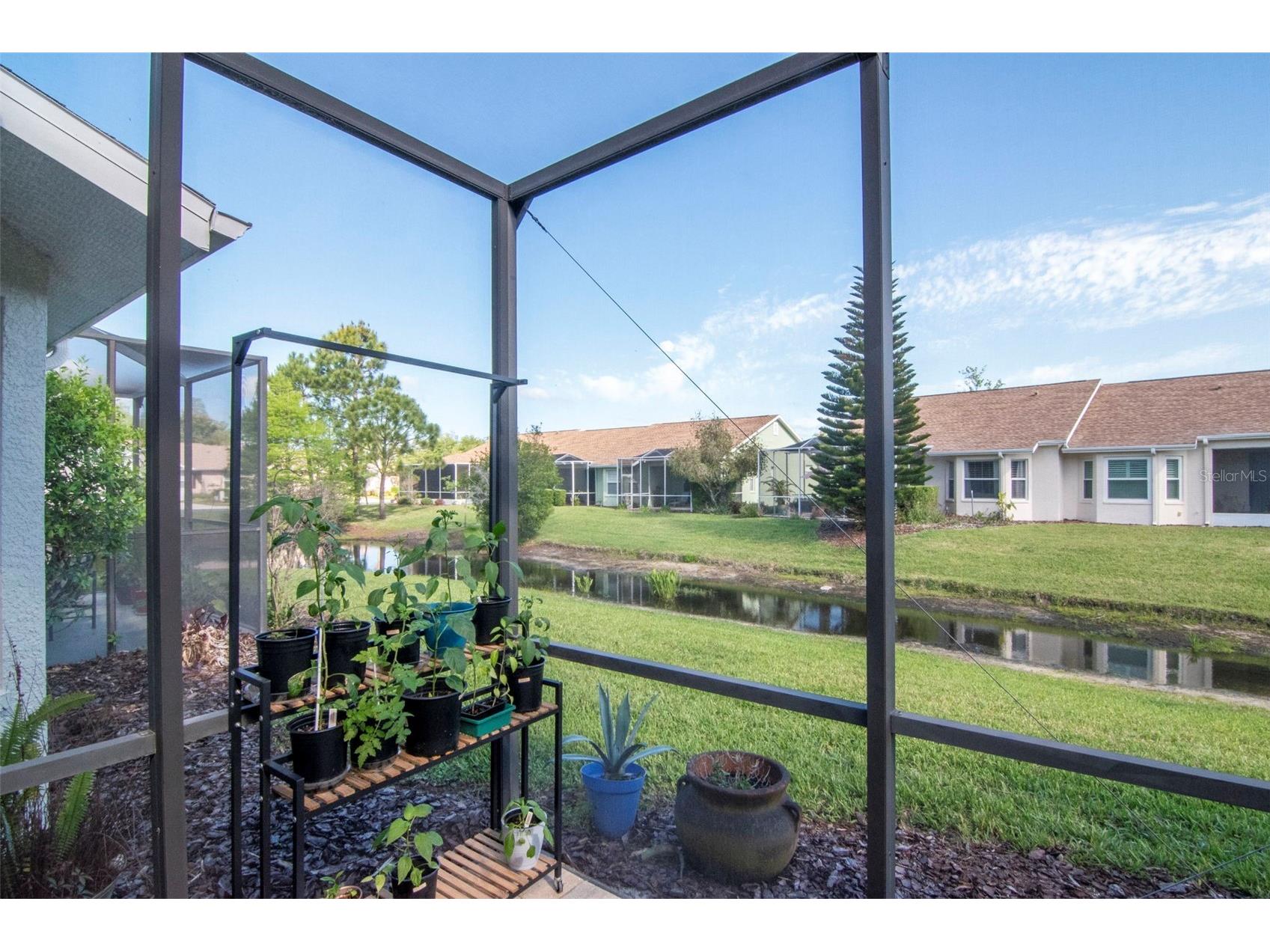 7308 Cleopatra Drive Land O Lakes FL 34637 TB8497329 image37