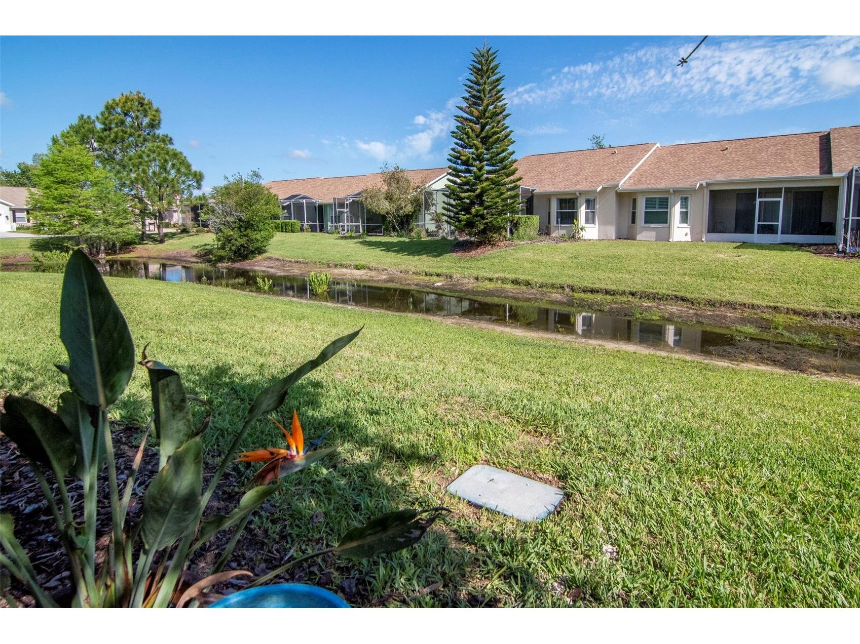 7308 Cleopatra Drive Land O Lakes FL 34637 TB8497329 image39
