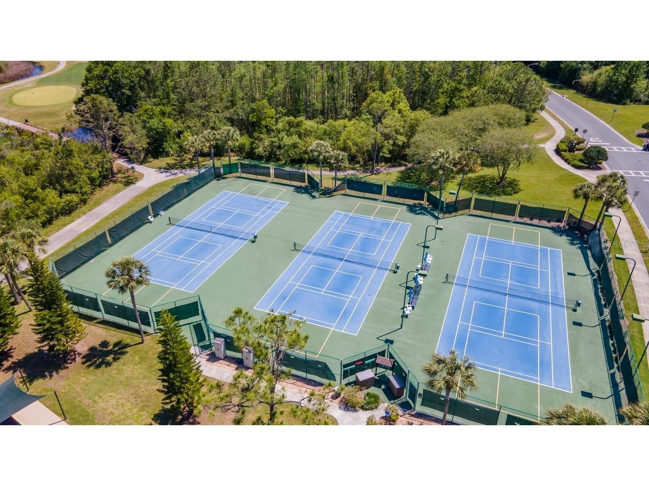 7308 Cleopatra Drive Land O Lakes FL 34637 TB8497329 image52