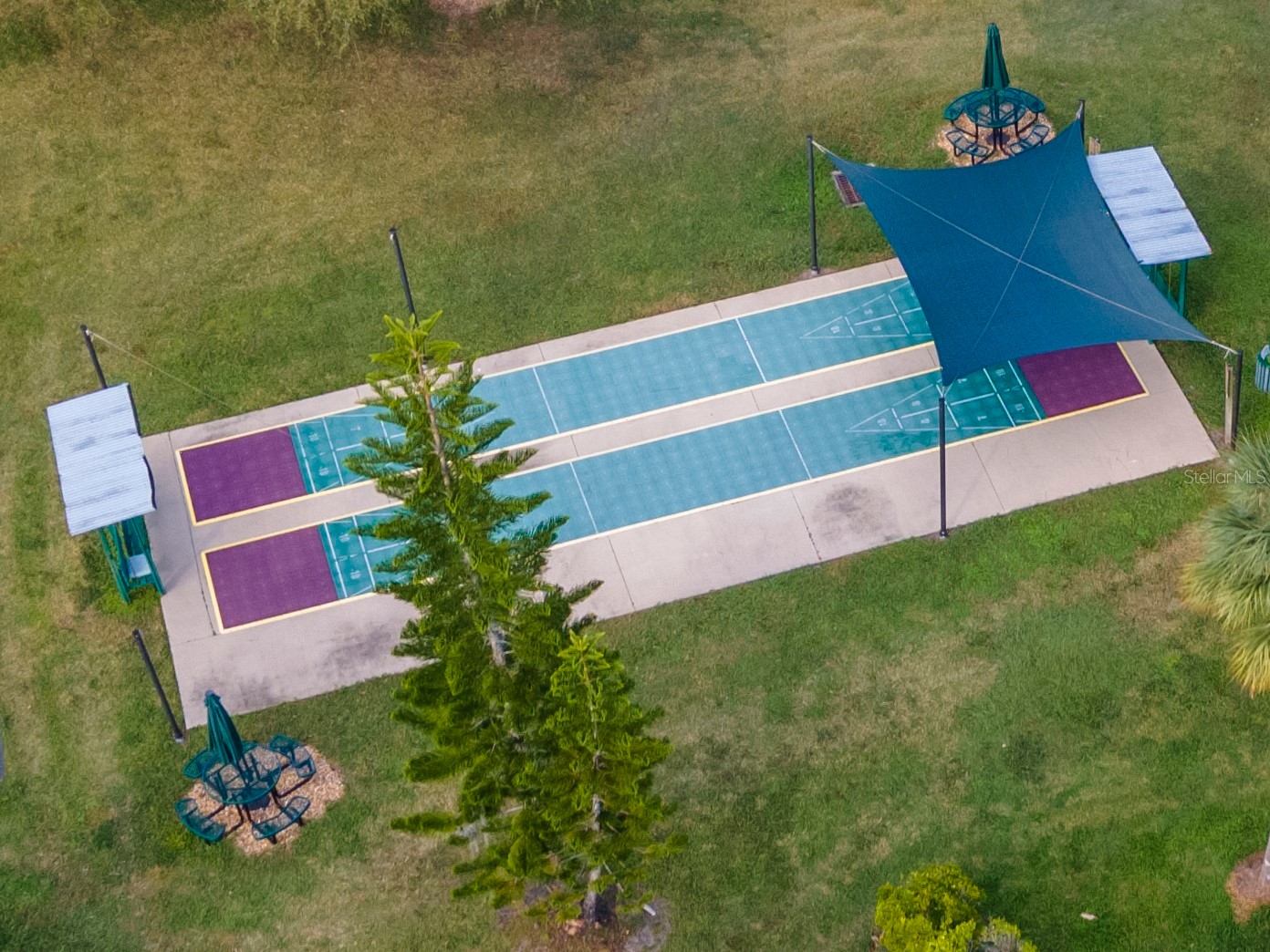7308 Cleopatra Drive Land O Lakes FL 34637 TB8497329 image53