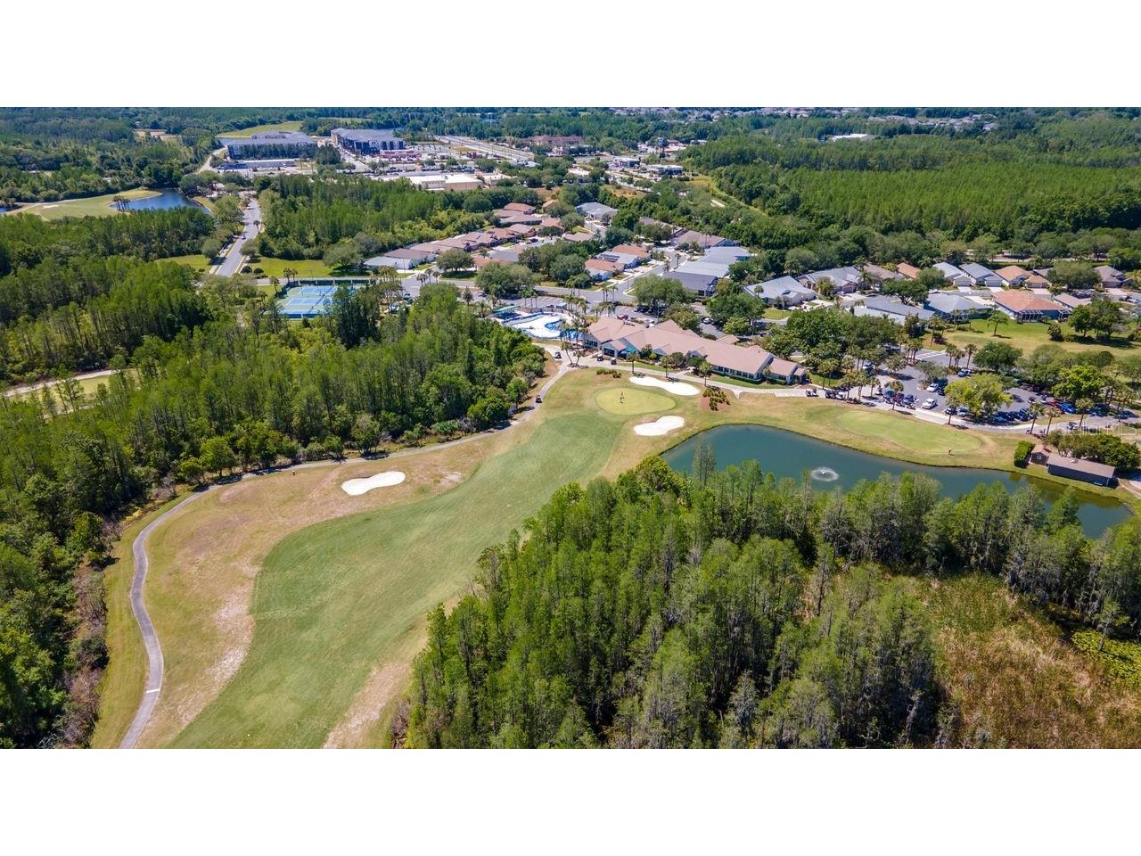 7308 Cleopatra Drive Land O Lakes FL 34637 TB8497329 image54