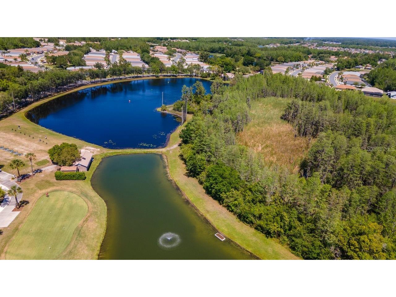 7308 Cleopatra Drive Land O Lakes FL 34637 TB8497329 image56