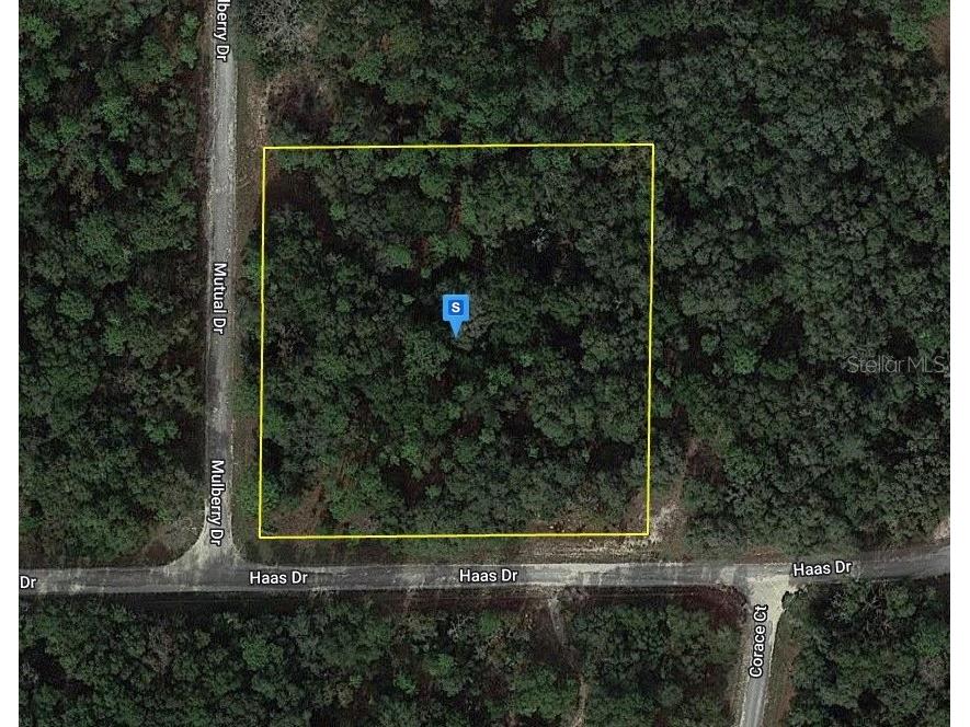 7308 Mulberry Drive Webster FL 33597 A4592441 image1