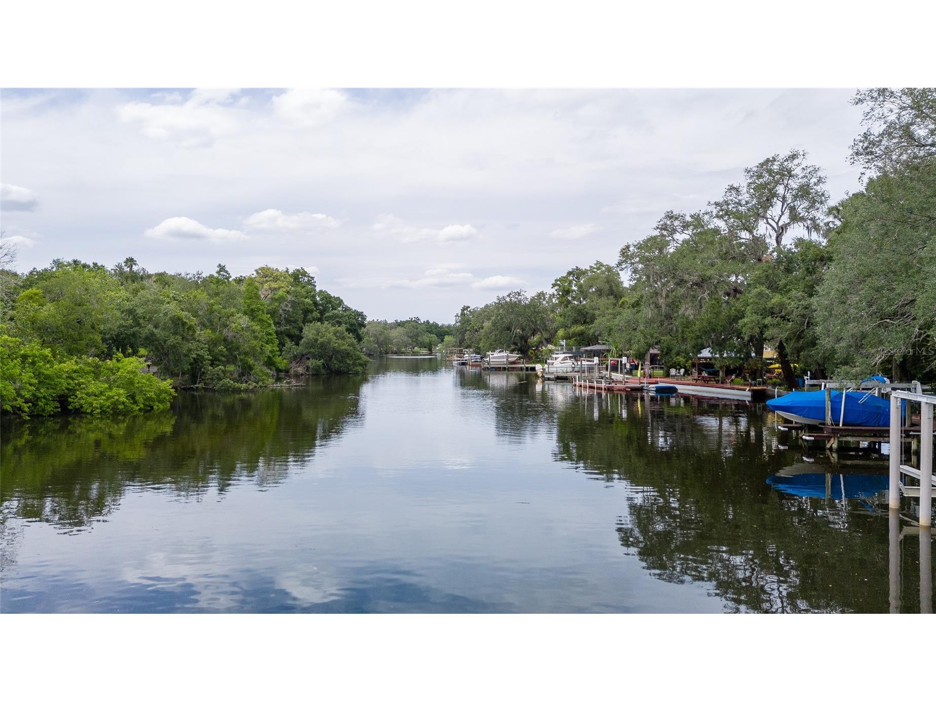7308 N Ola Avenue Tampa FL 33604 - HILLSBOROUGH RIVER TB8516429 image3
