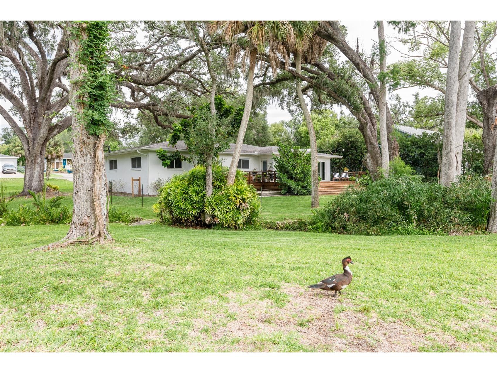 7308 N Ola Avenue Tampa FL 33604 - HILLSBOROUGH RIVER TB8516429 image48