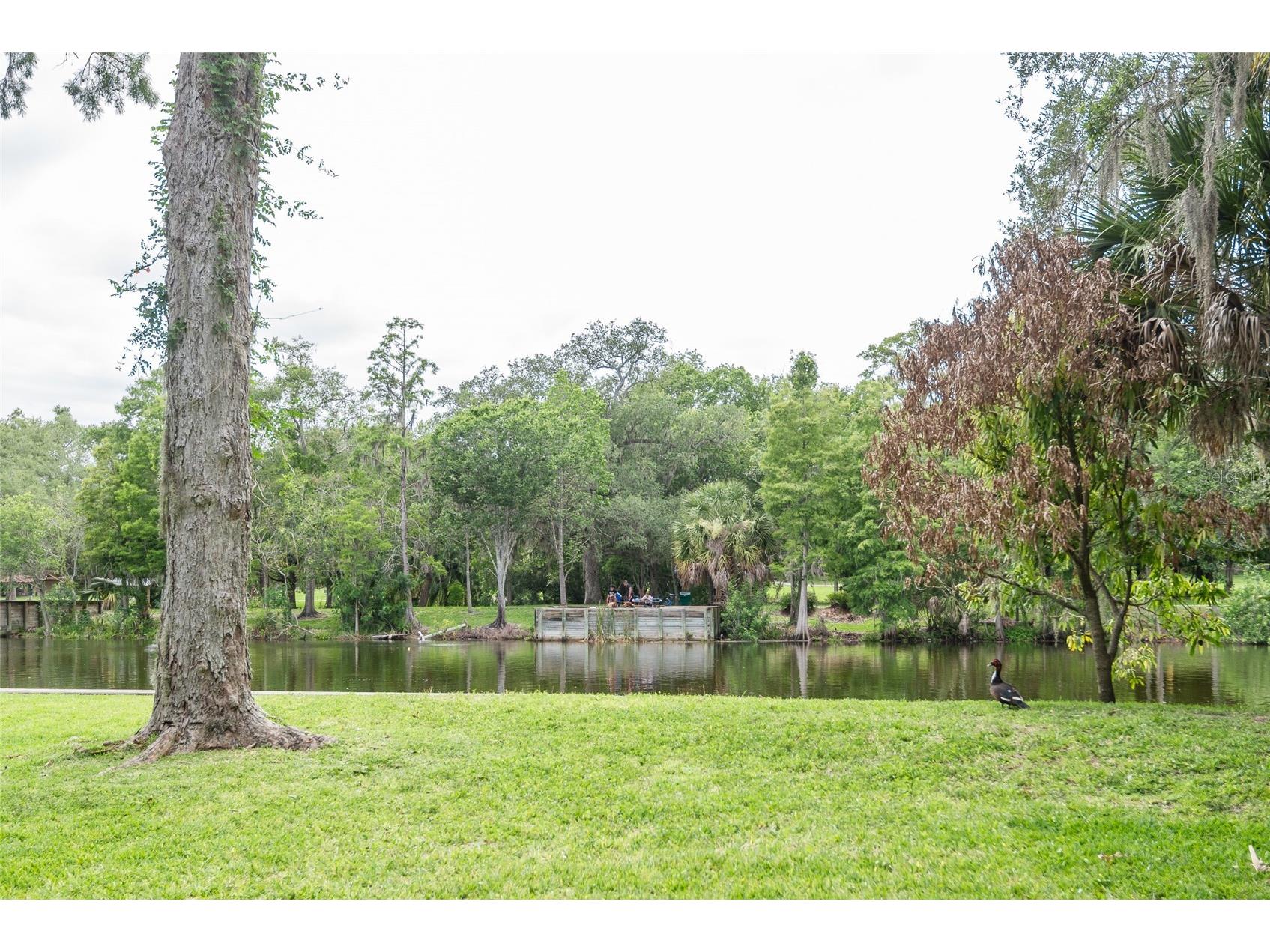 7308 N Ola Avenue Tampa FL 33604 - HILLSBOROUGH RIVER TB8516429 image49