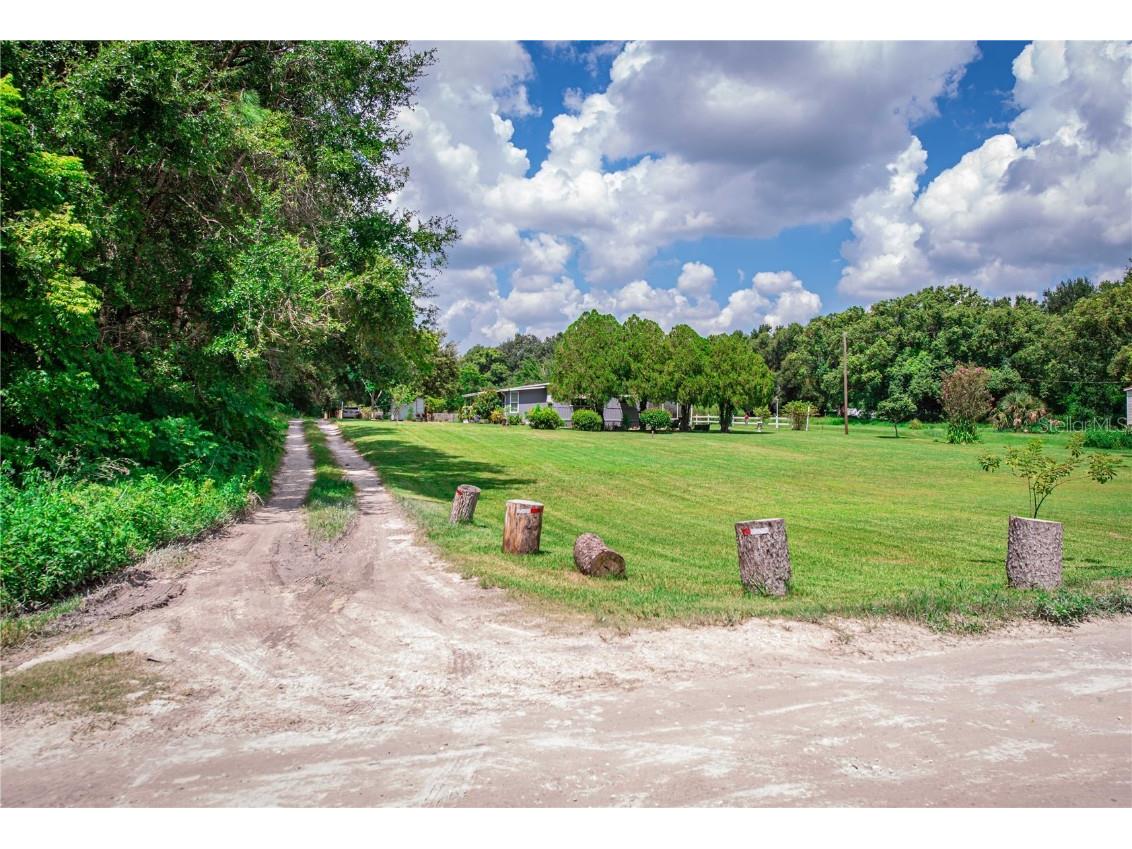 7309 23rd Street Zephyrhills FL 33540 TB8423181 image1