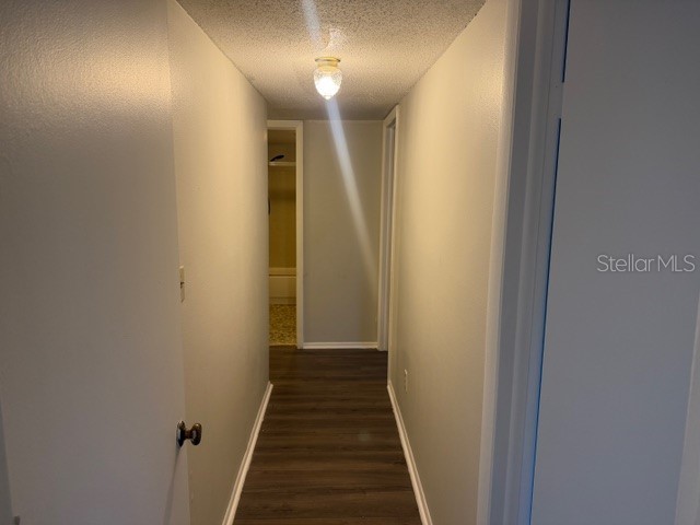 7309 Abonado Road #7309 Tampa FL 33615 TB8497262 image16