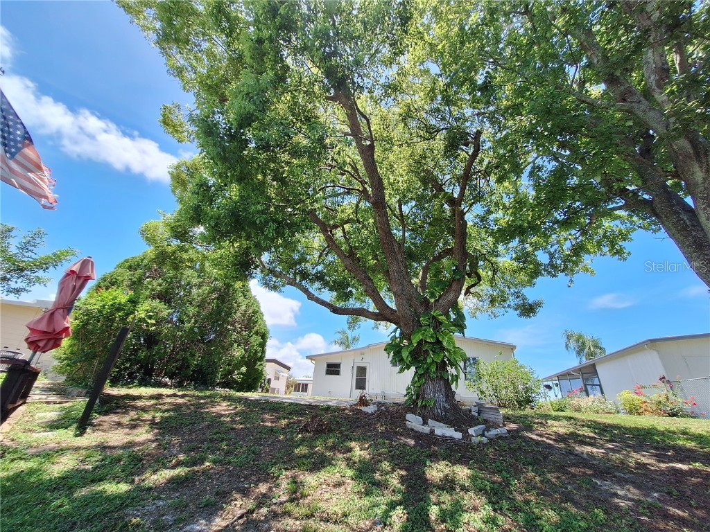 7309 Blue Lake Drive Hudson FL 34667 W7878130 image10