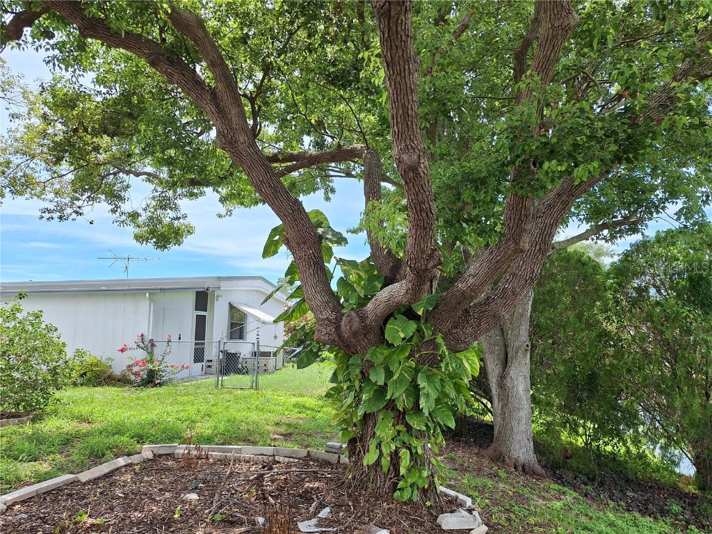 7309 Blue Lake Drive Hudson FL 34667 W7878130 image63