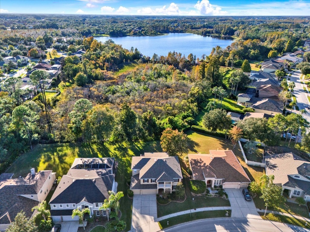 7309 Night Heron Drive Land O Lakes FL 34637 - BAY LAKE TB8449074 image1