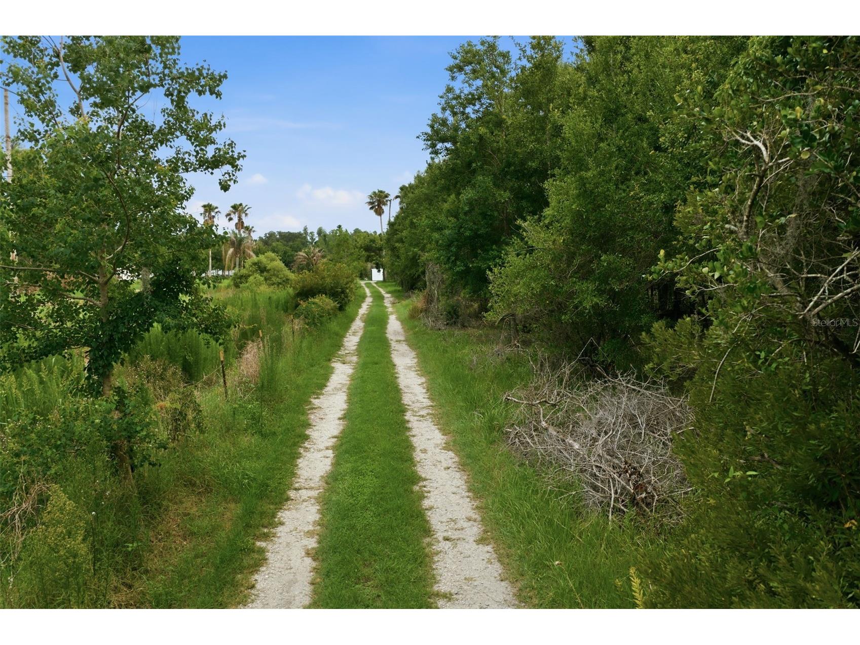 7309 Quail Meadow Road Plant City FL 33565 TB8516475 image4