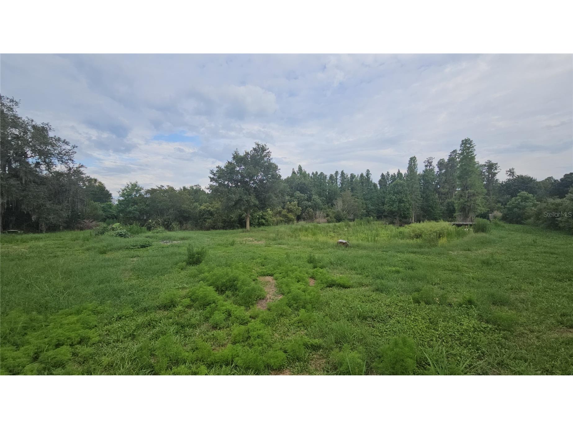 7309 Quail Meadow Road Plant City FL 33565 TB8516475 image45