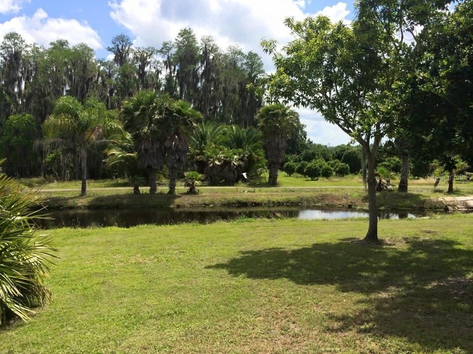 7309 Quail Meadow Road Plant City FL 33565 TB8516475 image50