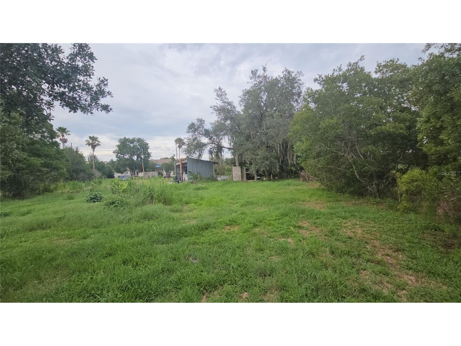 7309 Quail Meadow Road Plant City FL 33565 TB8516475 image51