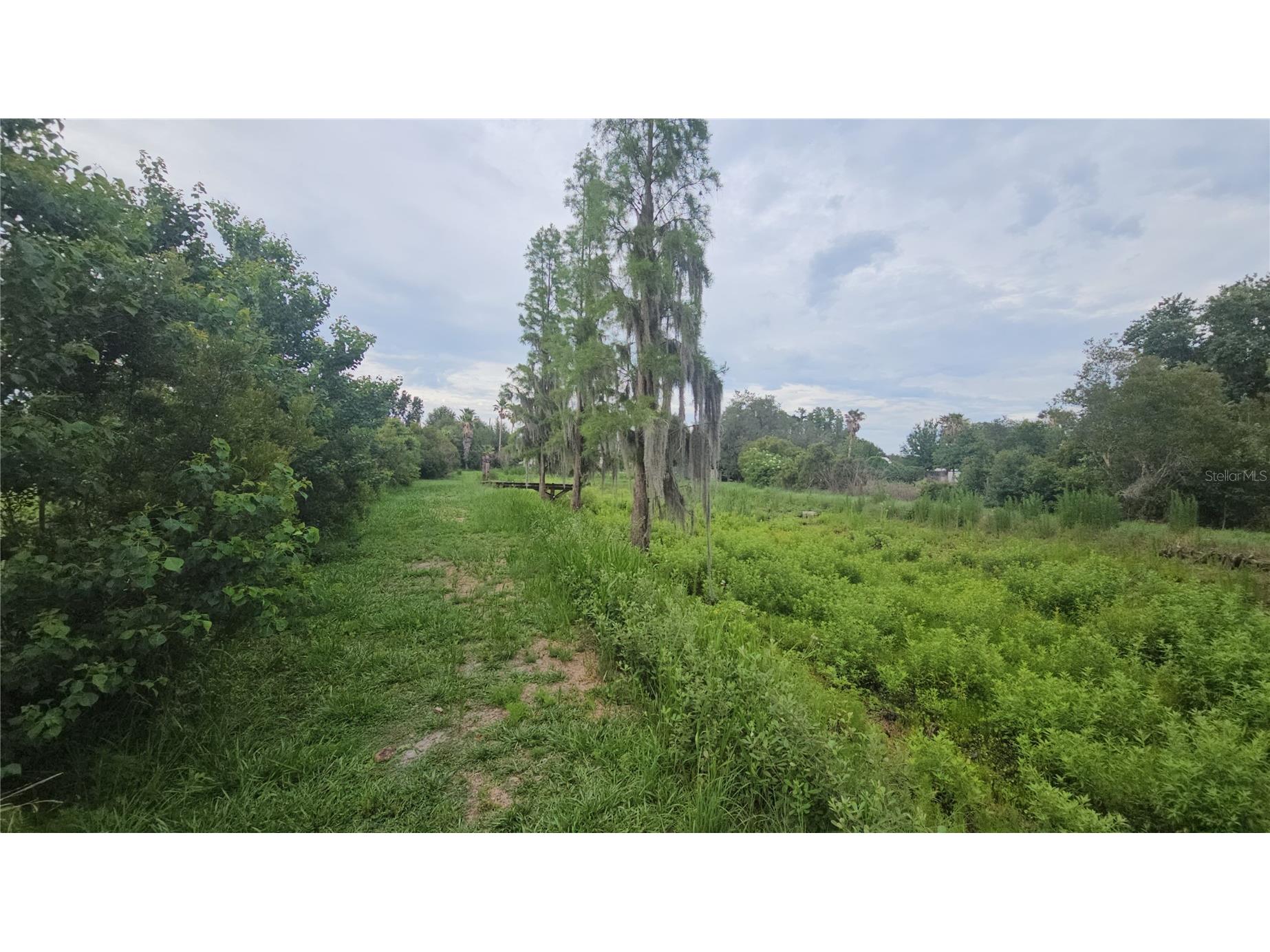 7309 Quail Meadow Road Plant City FL 33565 TB8516475 image53