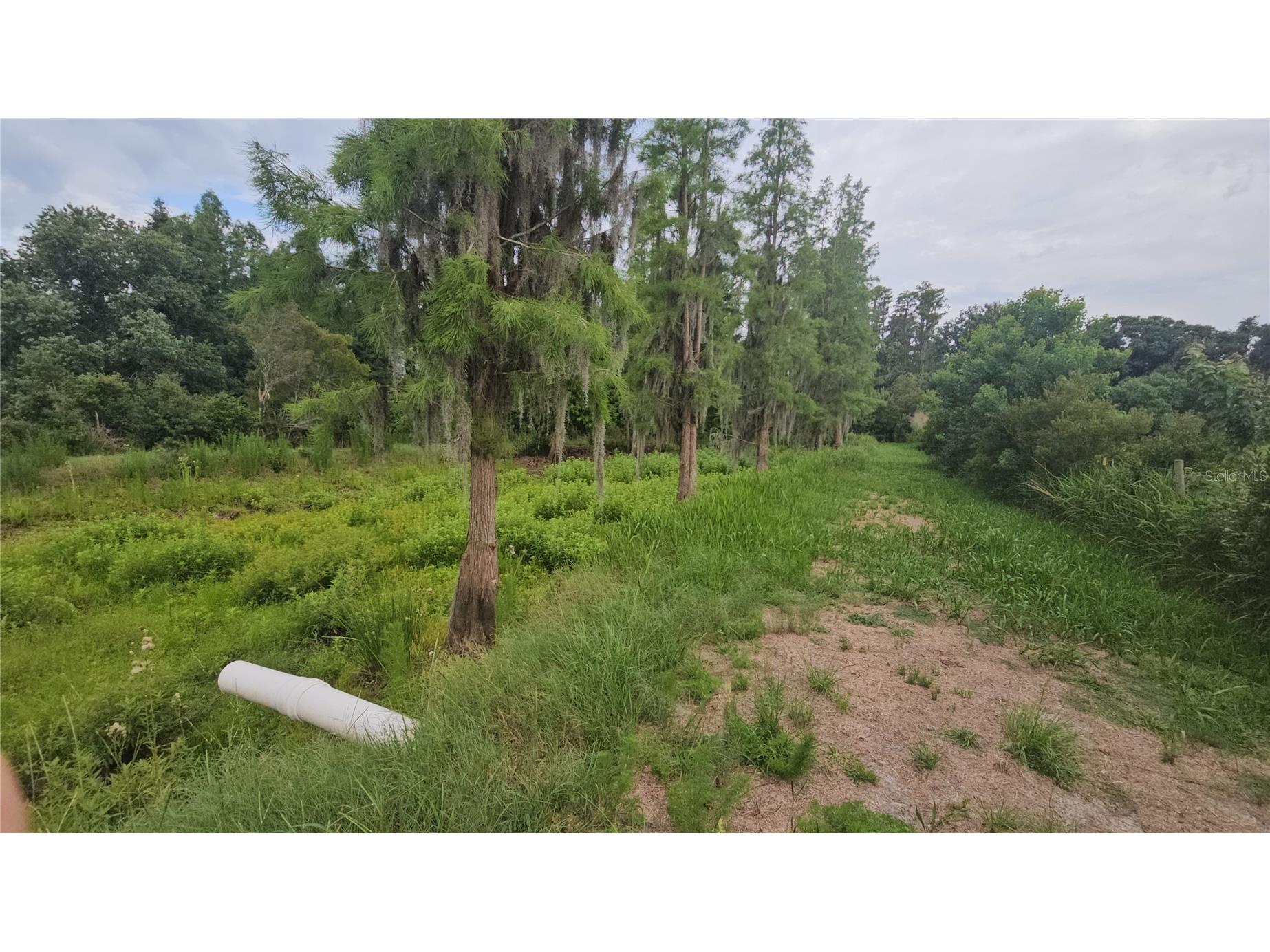 7309 Quail Meadow Road Plant City FL 33565 TB8516475 image55