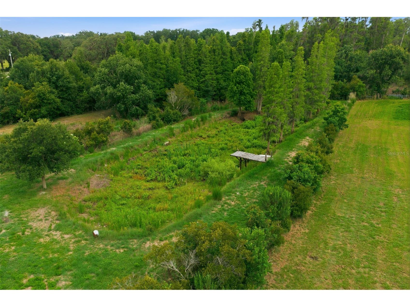 7309 Quail Meadow Road Plant City FL 33565 TB8516475 image56