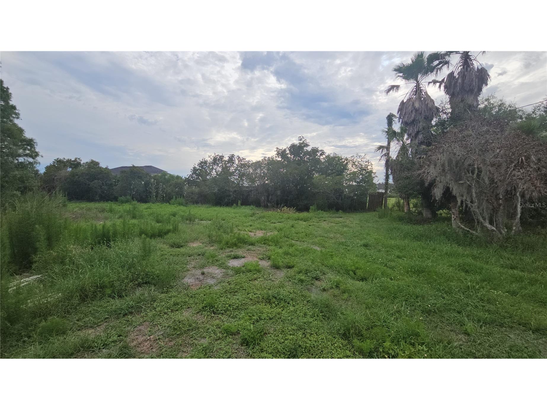 7309 Quail Meadow Road Plant City FL 33565 TB8516475 image59