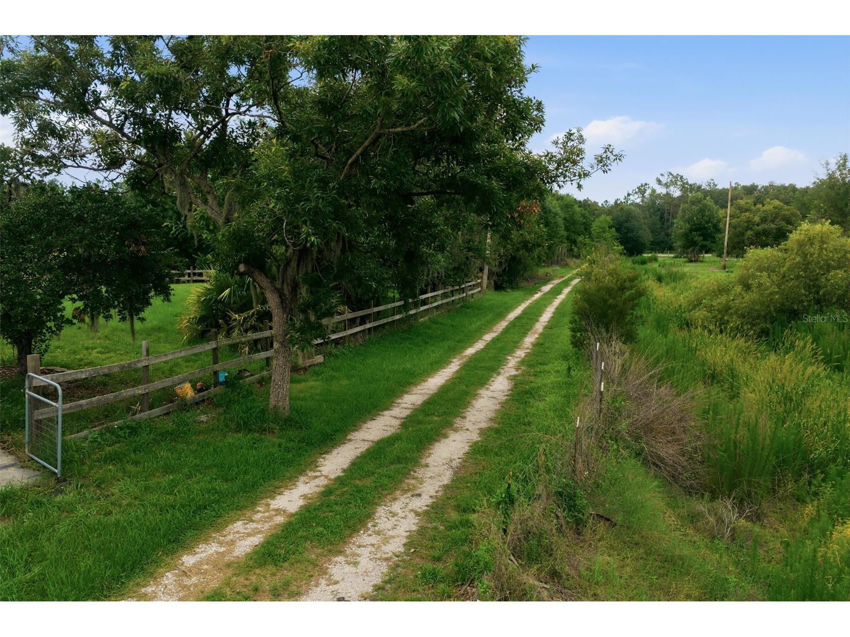 7309 Quail Meadow Road Plant City FL 33565 TB8516475 image60