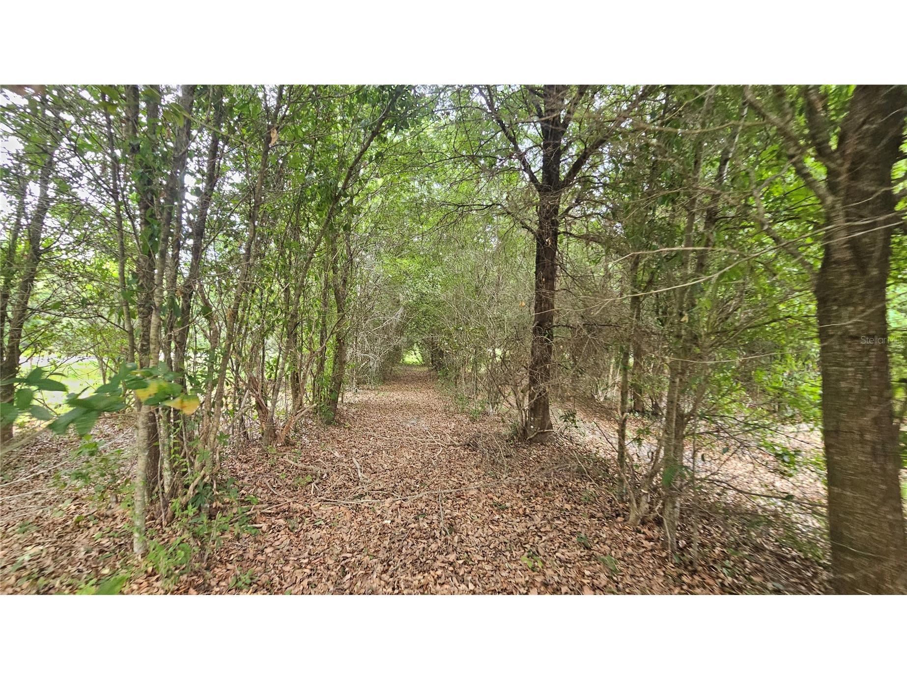 7309 Quail Meadow Road Plant City FL 33565 TB8516475 image66