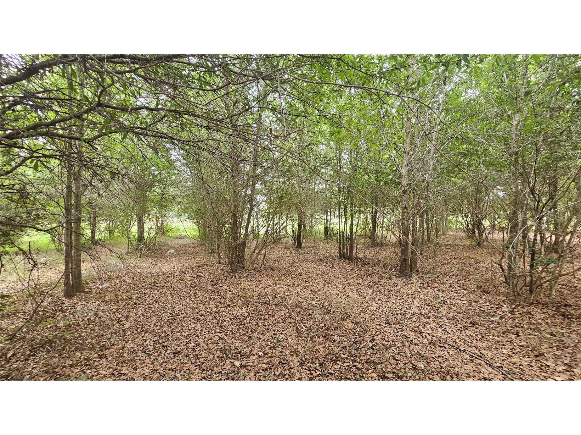 7309 Quail Meadow Road Plant City FL 33565 TB8516475 image67