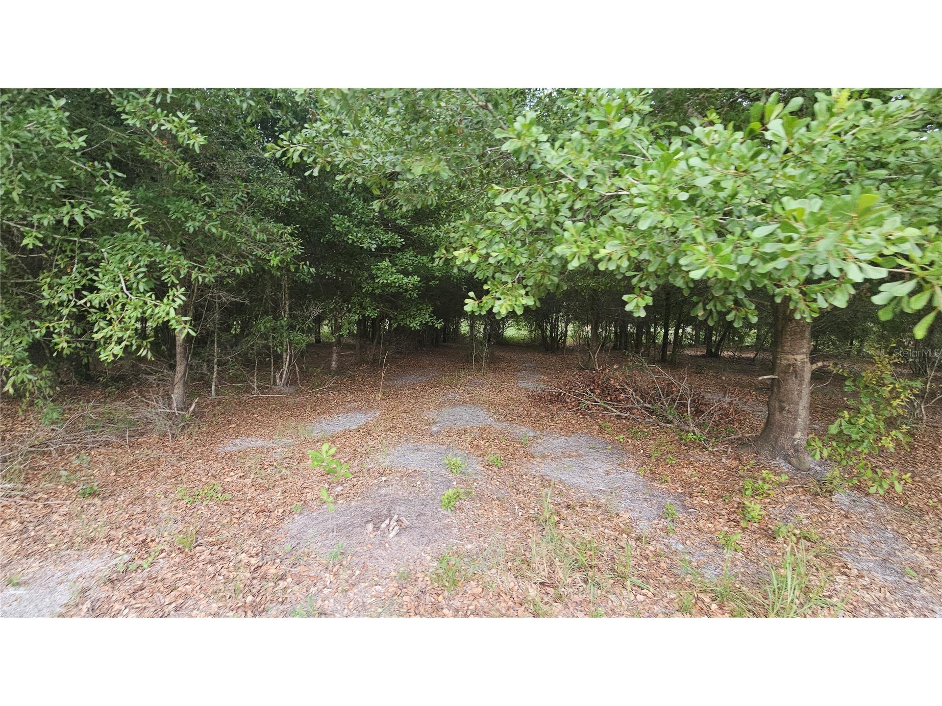 7309 Quail Meadow Road Plant City FL 33565 TB8516475 image68
