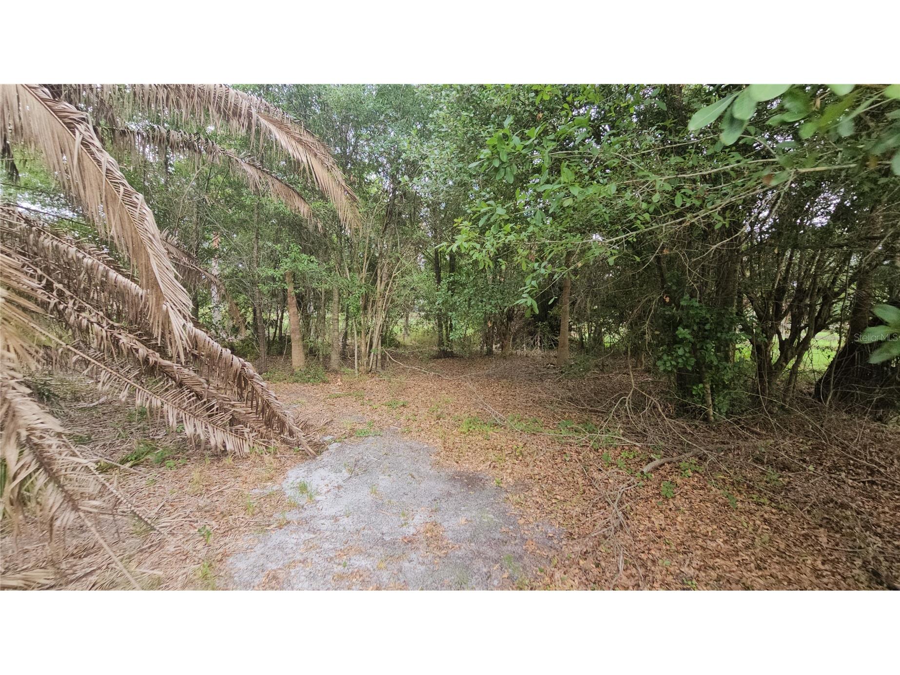 7309 Quail Meadow Road Plant City FL 33565 TB8516475 image69