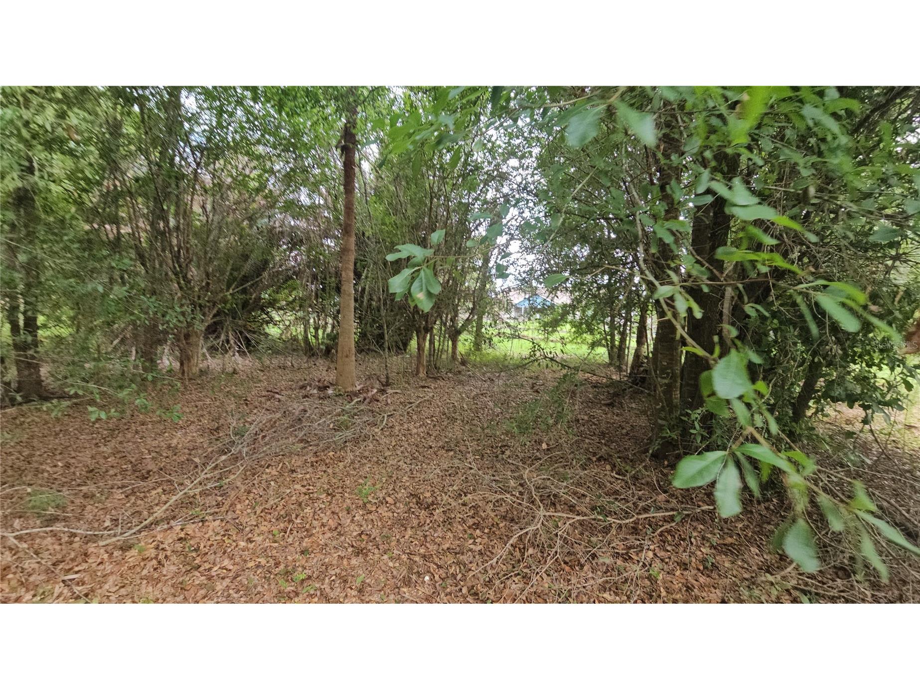 7309 Quail Meadow Road Plant City FL 33565 TB8516475 image70
