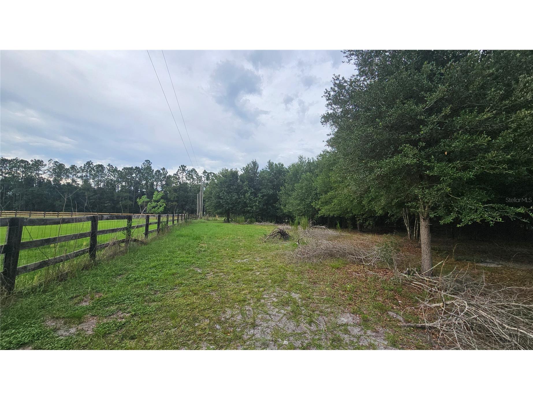 7309 Quail Meadow Road Plant City FL 33565 TB8516475 image74