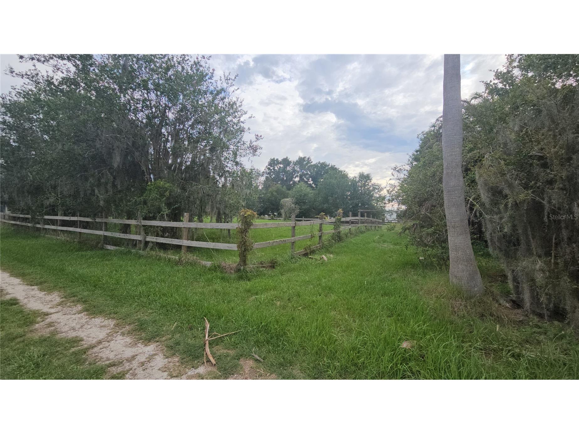 7309 Quail Meadow Road Plant City FL 33565 TB8516475 image77