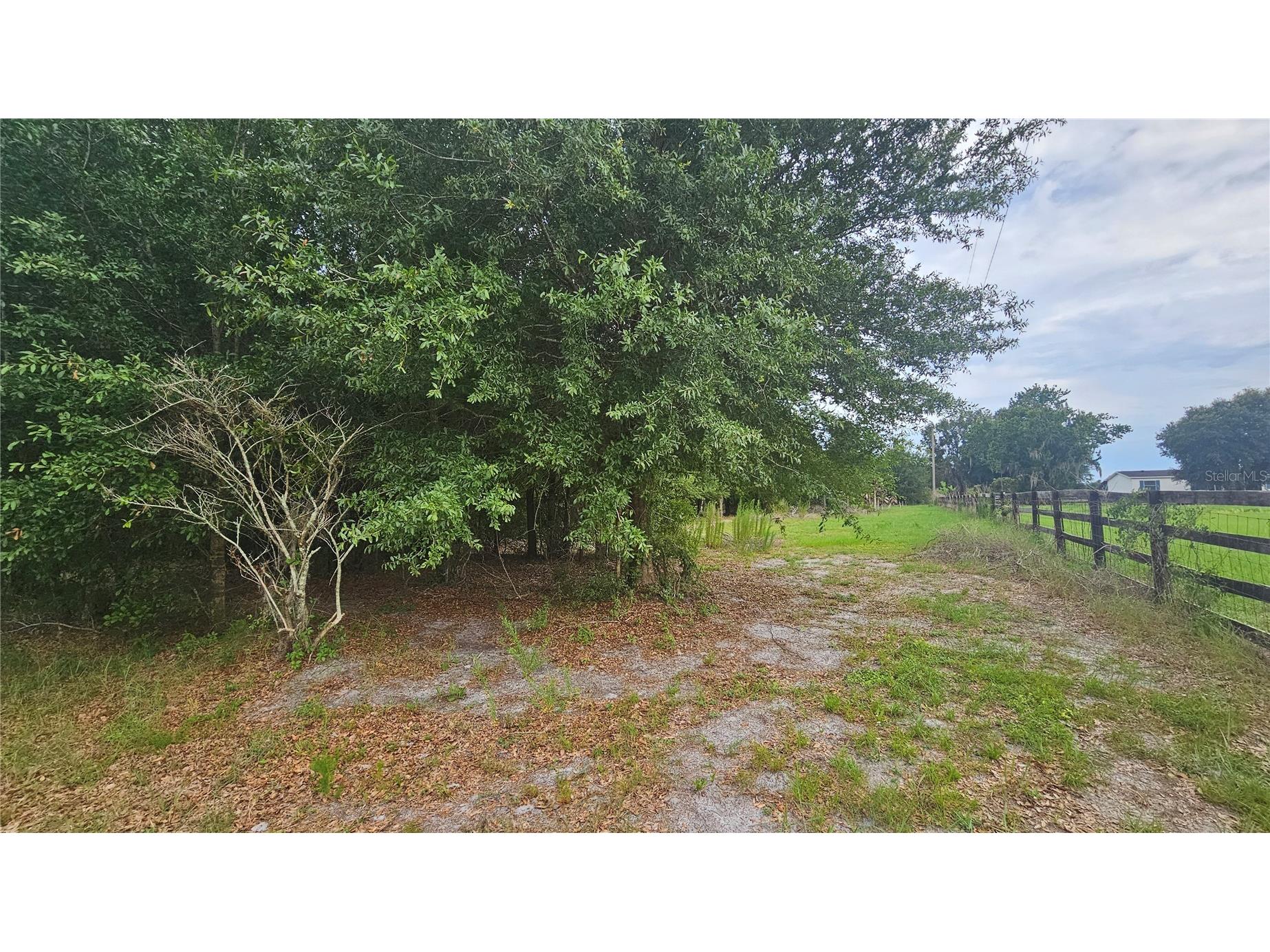7309 Quail Meadow Road Plant City FL 33565 TB8516475 image78