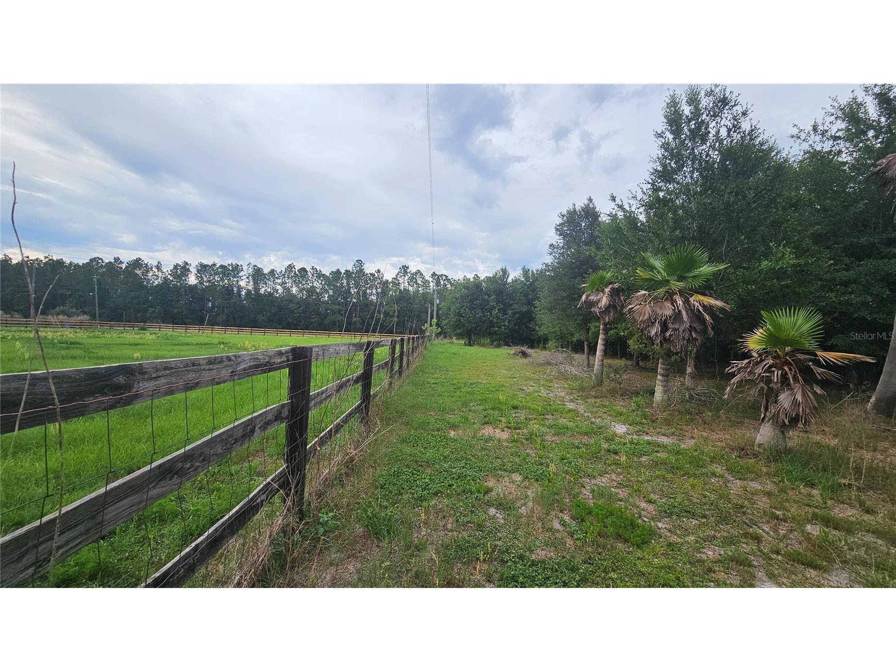 7309 Quail Meadow Road Plant City FL 33565 TB8516475 image79