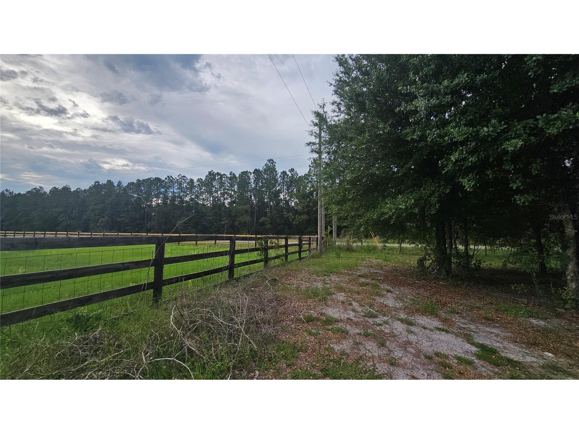 7309 Quail Meadow Road Plant City FL 33565 TB8516475 image80