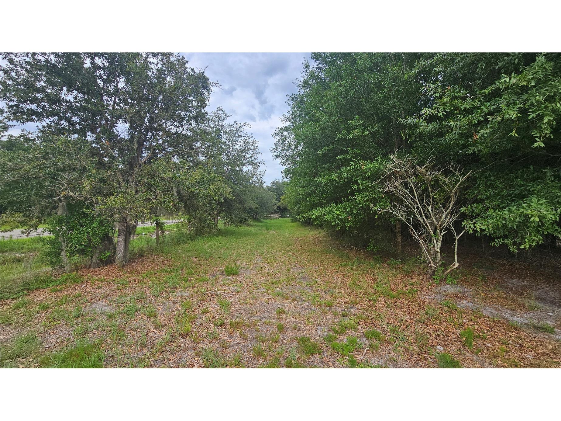 7309 Quail Meadow Road Plant City FL 33565 TB8516475 image81