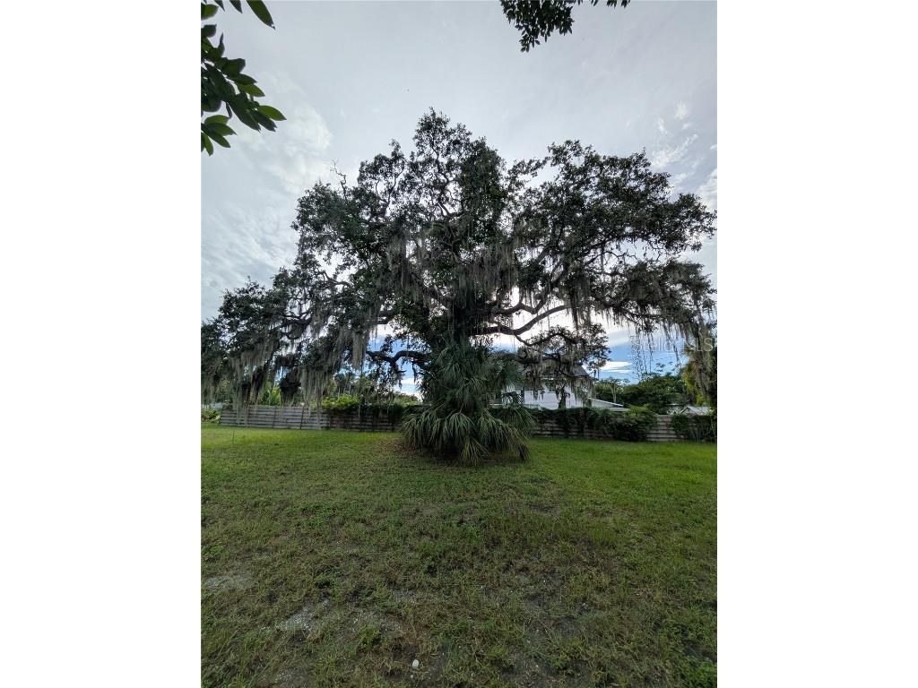 731 36th Avenue S Saint Petersburg FL 33705 TB8426499 image6
