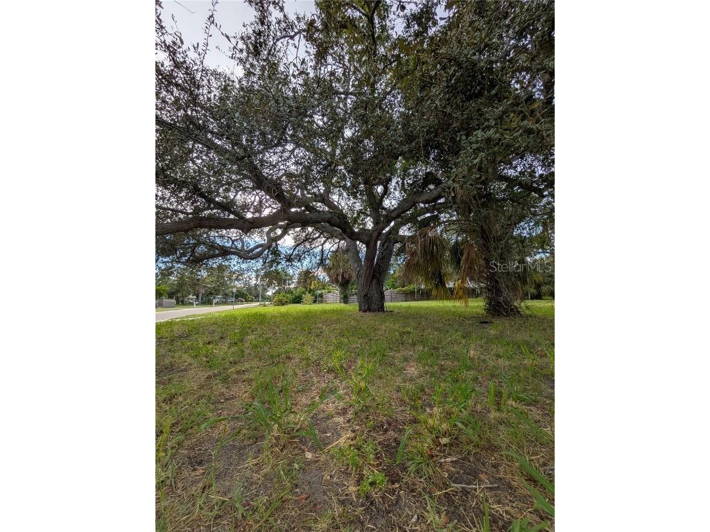 731 36th Avenue S Saint Petersburg FL 33705 TB8426499 image8