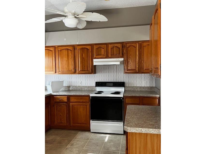 731 Agua Way Lady Lake FL 32159 G5106186 image17