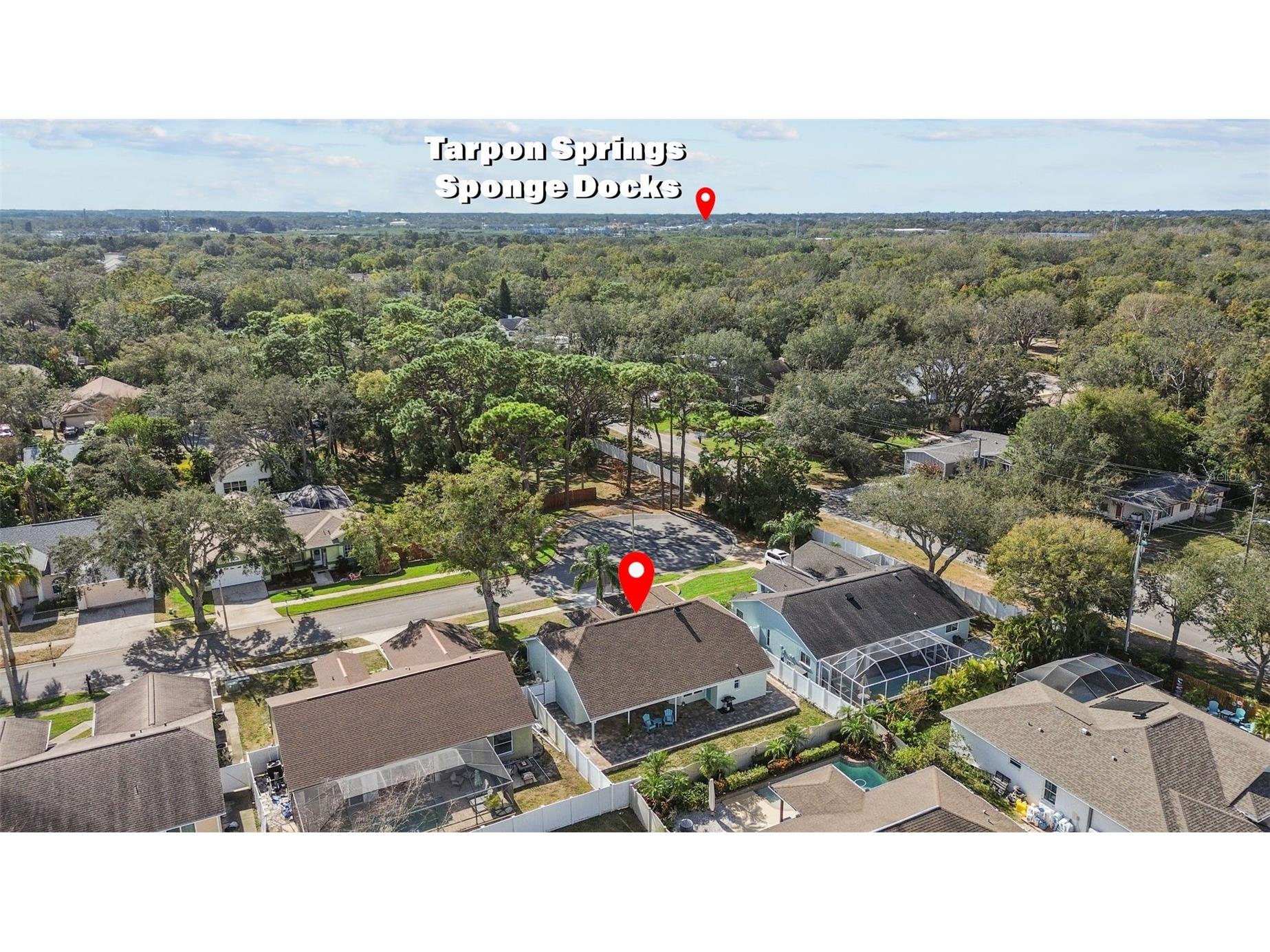 731 Brittany Park Boulevard Tarpon Springs FL 34689 TB8525791 image40