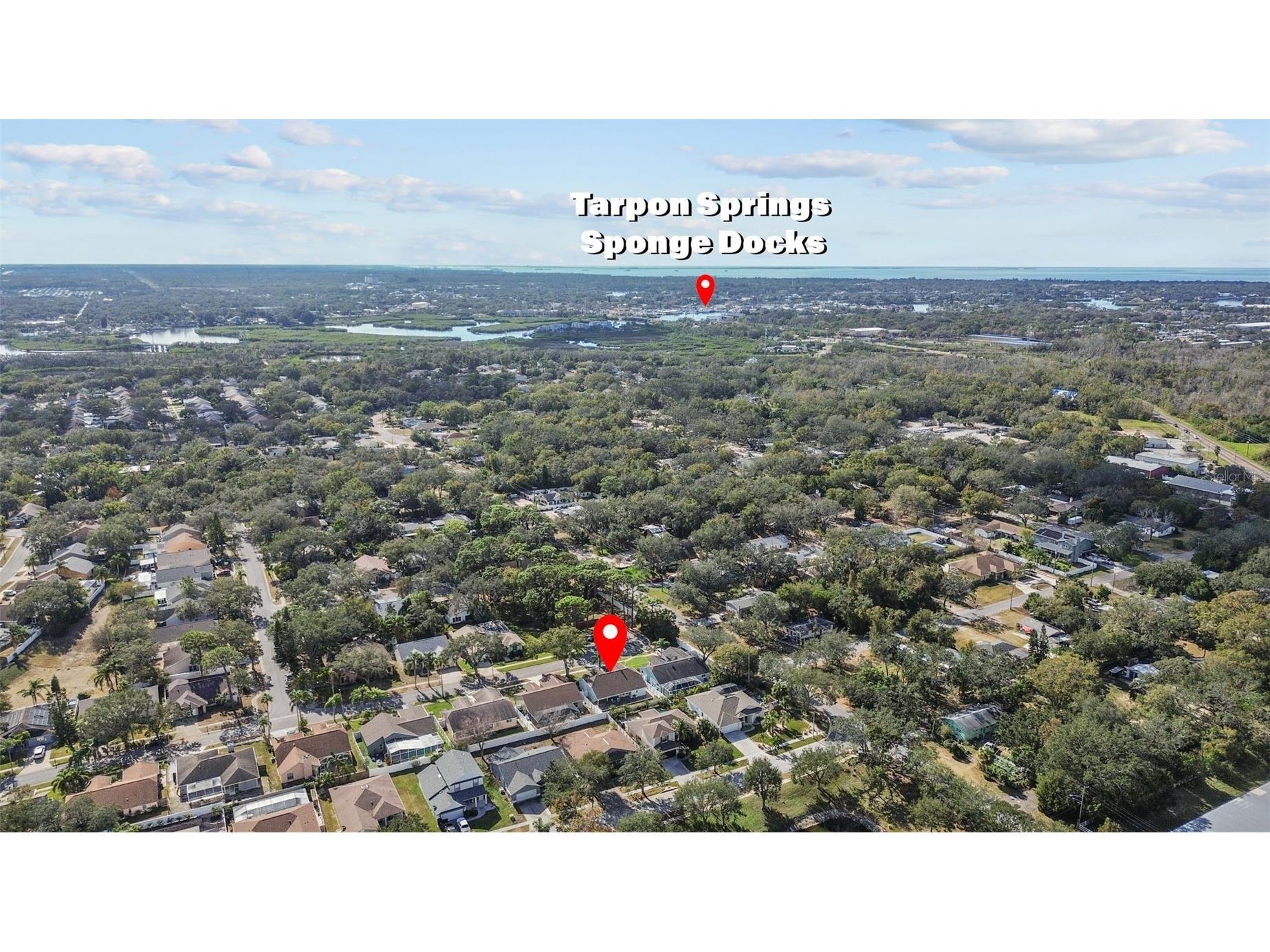 731 Brittany Park Boulevard Tarpon Springs FL 34689 TB8525791 image44